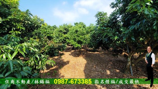 高雄內門農地-9