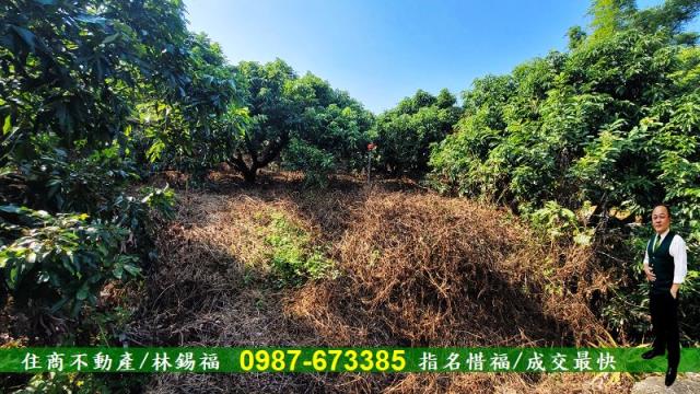 高雄內門農地-2