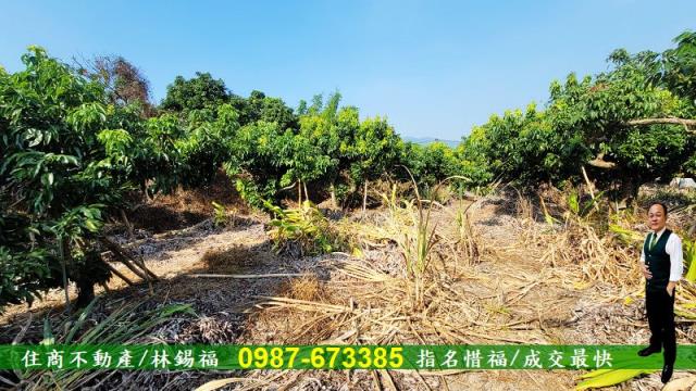 高雄內門農地-4