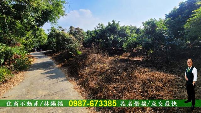 高雄內門農地-5