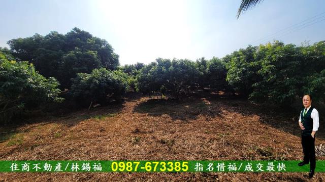 高雄內門農地-7
