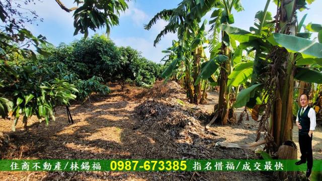 高雄內門農地-8