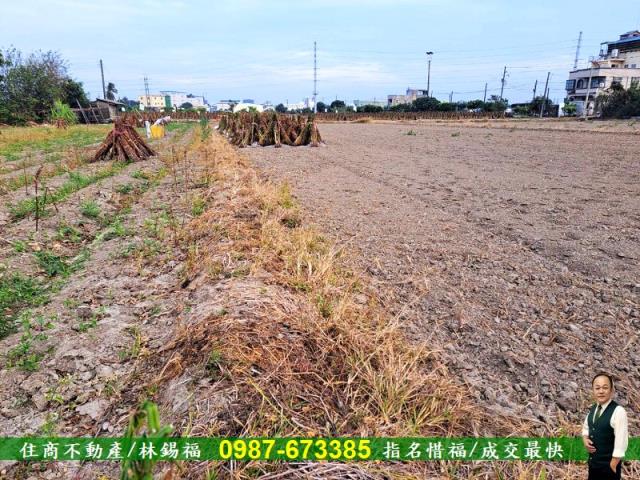 台南善化農地-7
