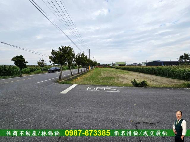 安定農地-1