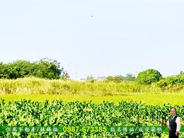 台南農地-10