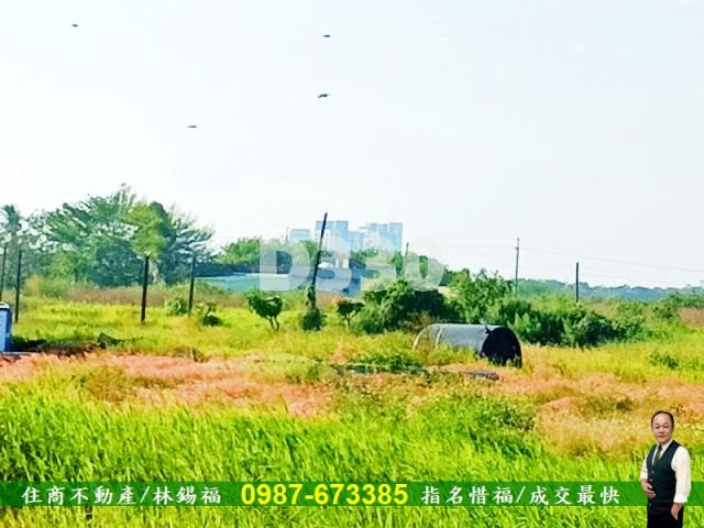 台南農地-12