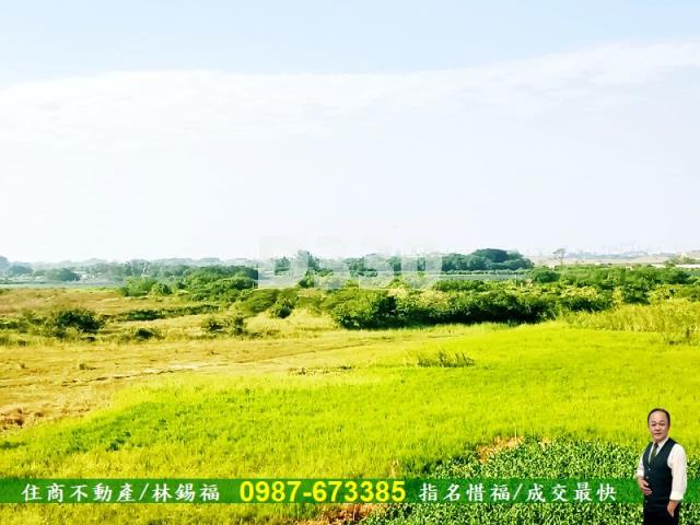 台南農地-5