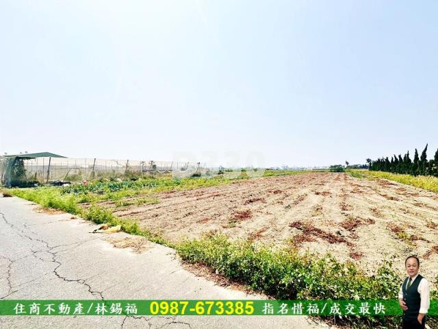 湖內農地-2