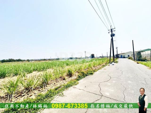 湖內農地-5