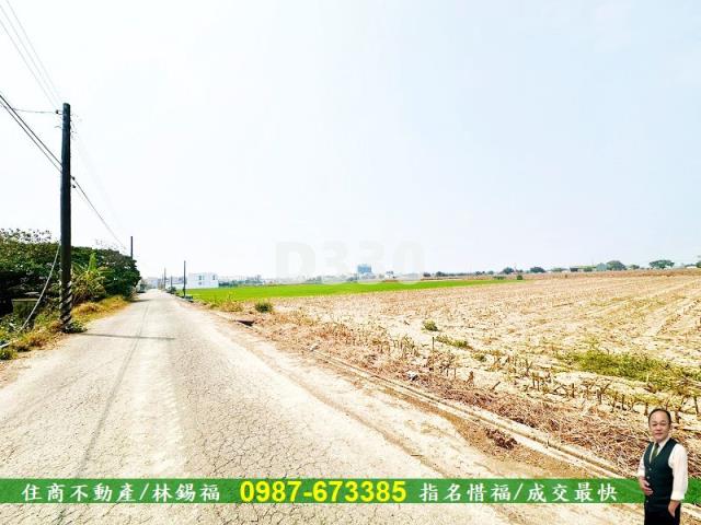善化農地-0
