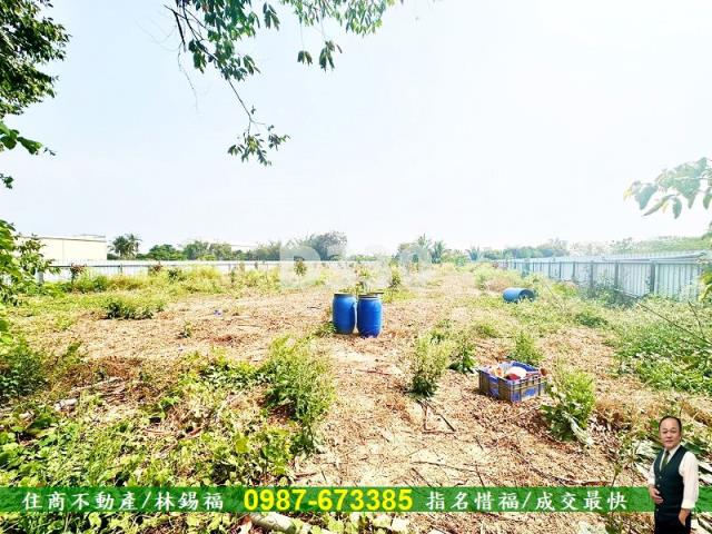善化農地-4