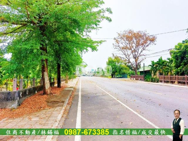 屏東新埤農地-11