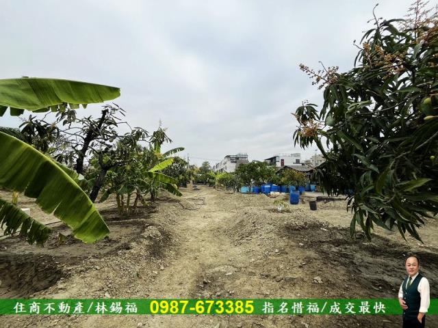 台南歸仁農地-2