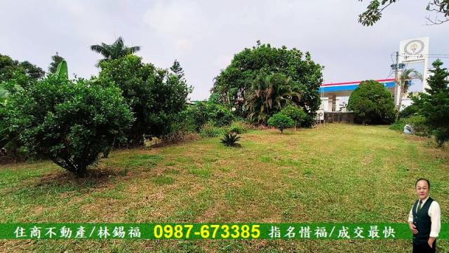 台南農地-9