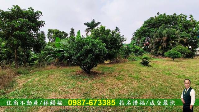 台南農地-12