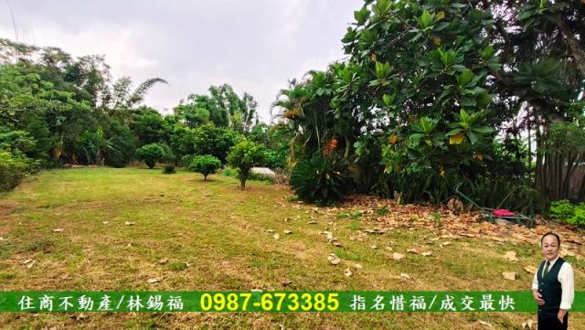 台南農地-1