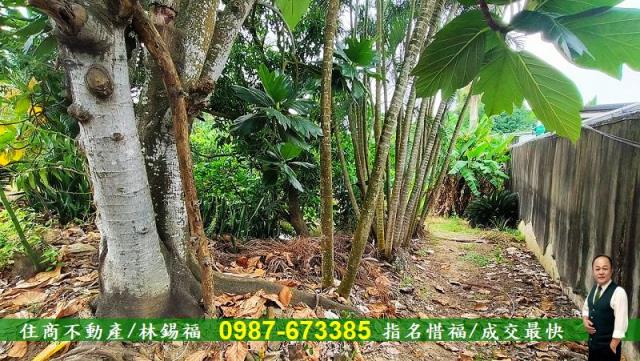 台南農地-2