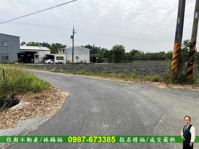 歸仁農地-4