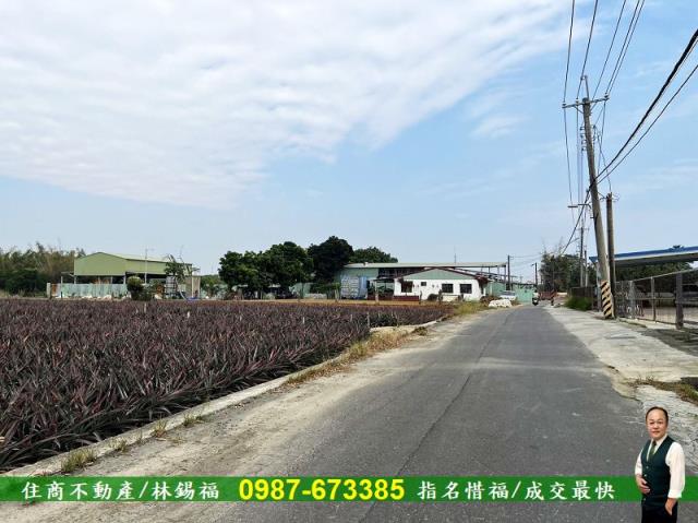 歸仁農地-5