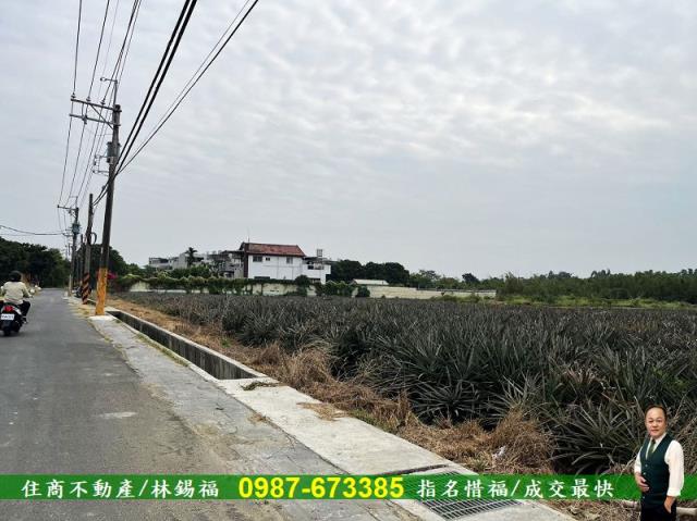 歸仁農地-8