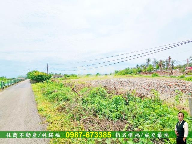 新市農地-1