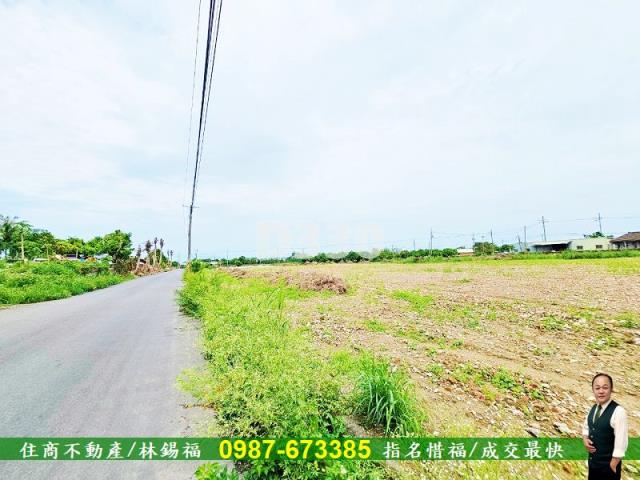新市農地-2