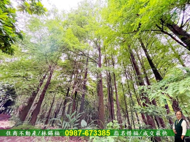 台南農地-10