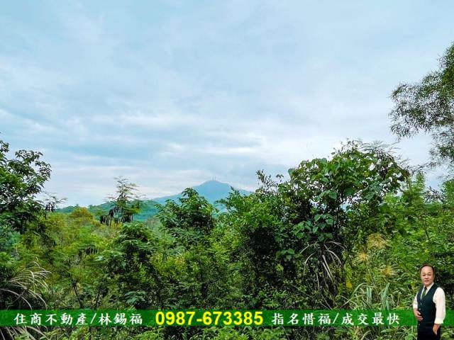 台南農地-7