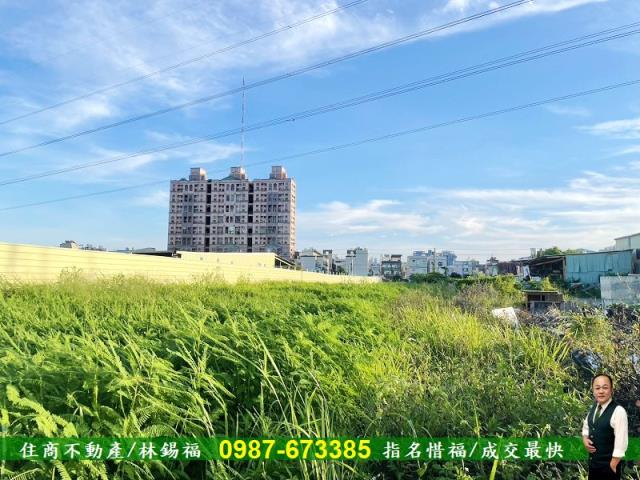 仁德農地-6