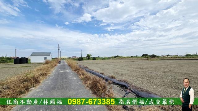台南農地-7