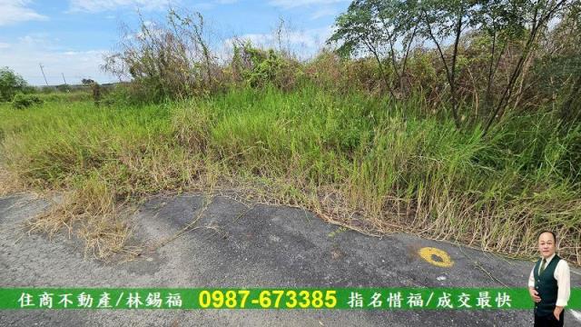 台南七股農地-10
