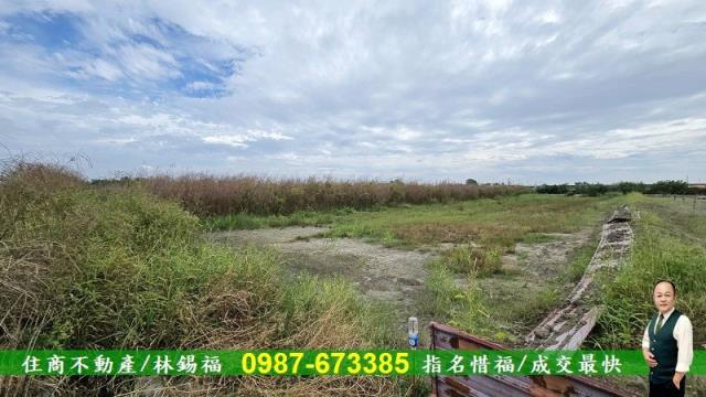 台南七股農地-4