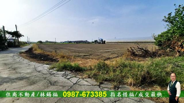 台南佳里農地-9