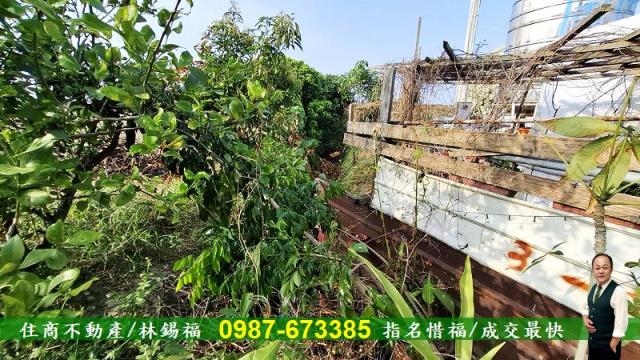 台南佳里農地-10