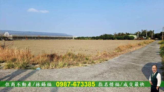 台南佳里農地-12