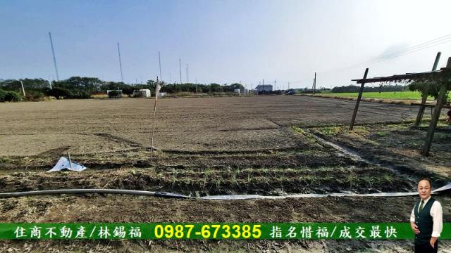 台南佳里農地-3