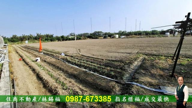 台南佳里農地-5