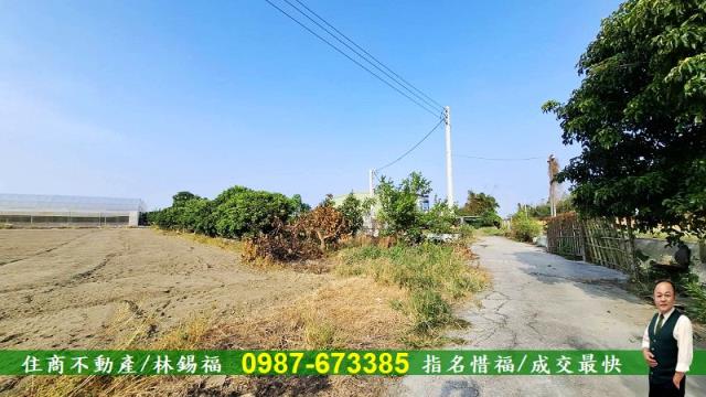 台南佳里農地-7