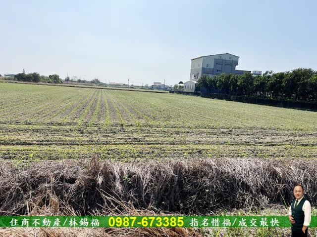 台南農地-3