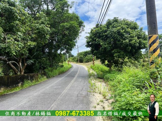 台南左鎮農地-0