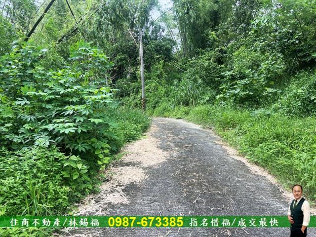 台南左鎮農地-5