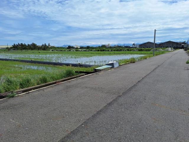 台南新市農地-1