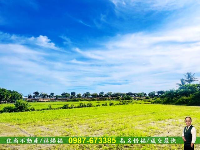 台南農地-1