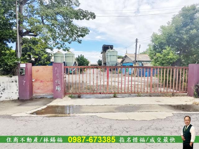 善化農地-0