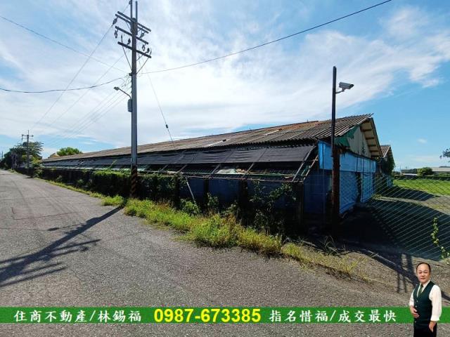 善化農地-5
