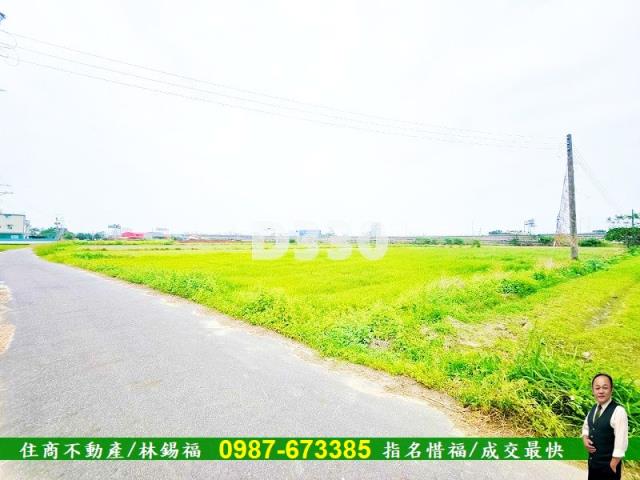 台南仁德農地-9
