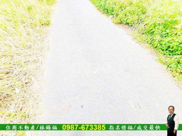 台南仁德農地-13