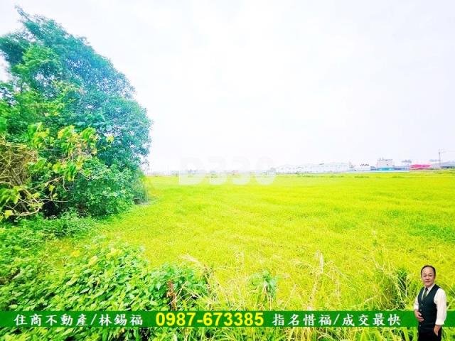 台南仁德農地-1