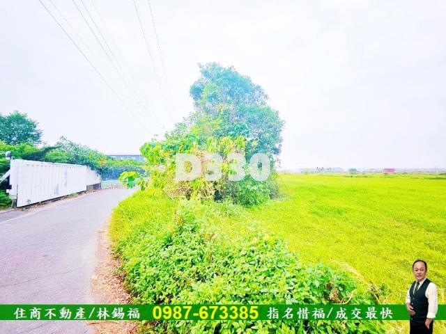 台南仁德農地-2