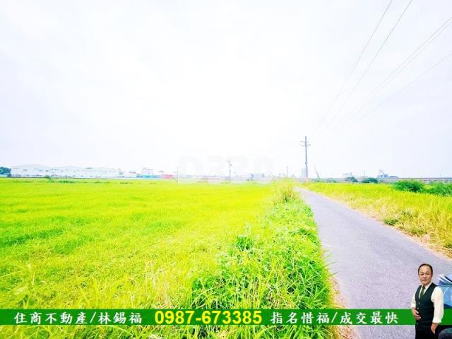 台南仁德農地-3